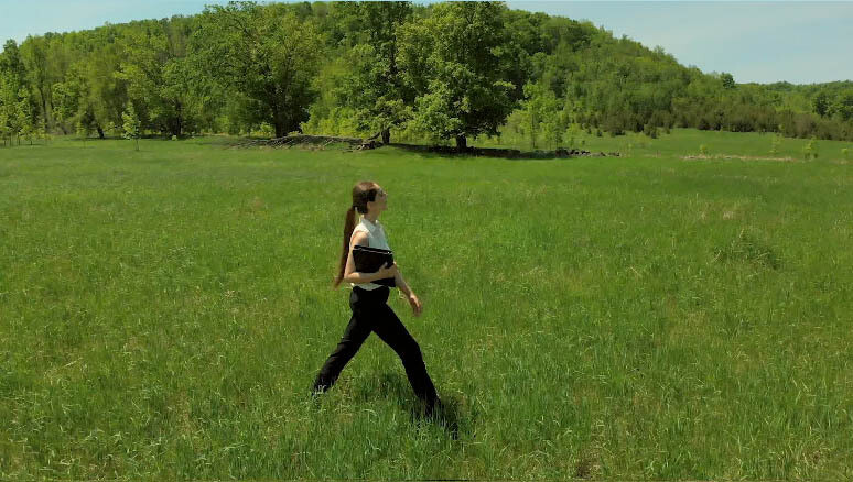 Young woman walking beside you in a Sunny Field holding an office book. (4) Young woman walking beside you in a Sunny Field holding an office book. (4)