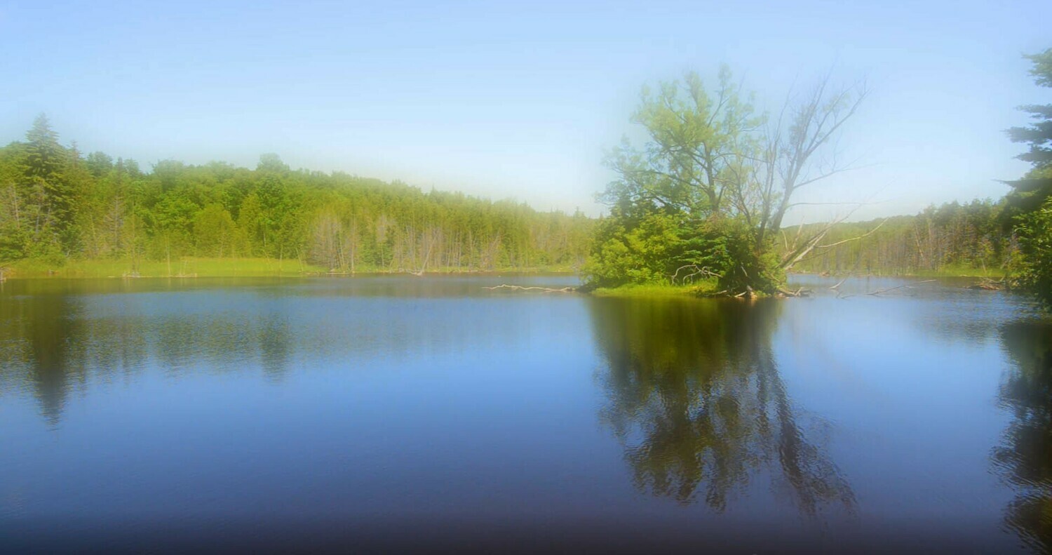 Water 1 Water 1