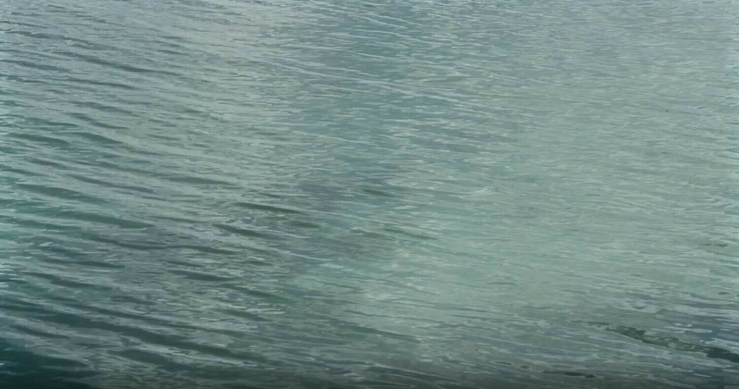 Water 5 Water 5