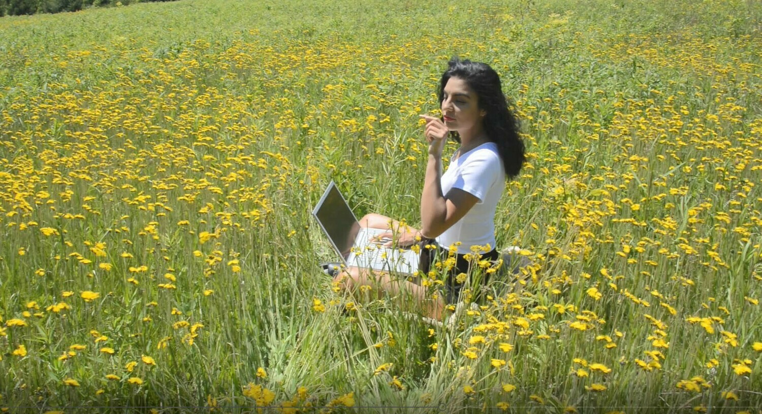 Yellow Flowers Typing 2 Yellow Flowers Typing 2