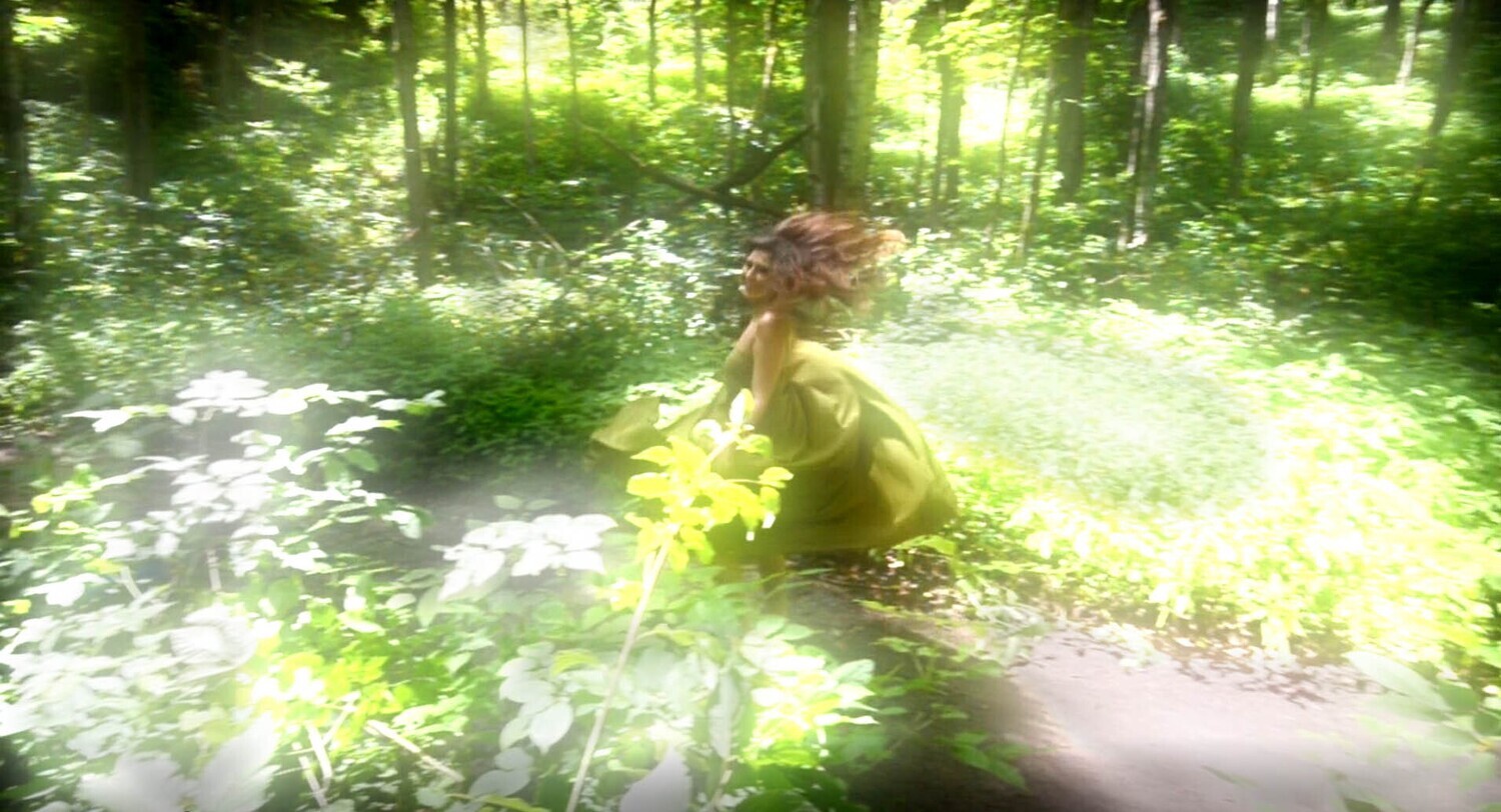 Fairy 58 Fairy 58