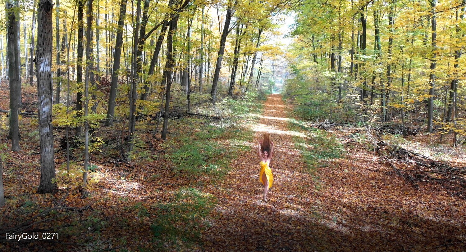 Fairy in gold 271 Fairy in gold 271