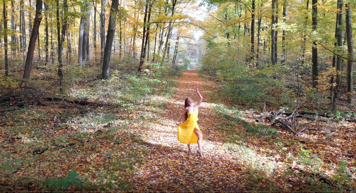 Fairy in Gold 272A Fairy in Gold 272A