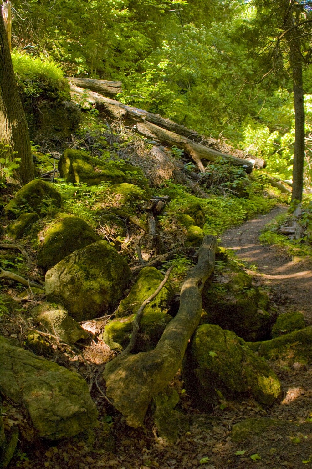 Rocks on the Path