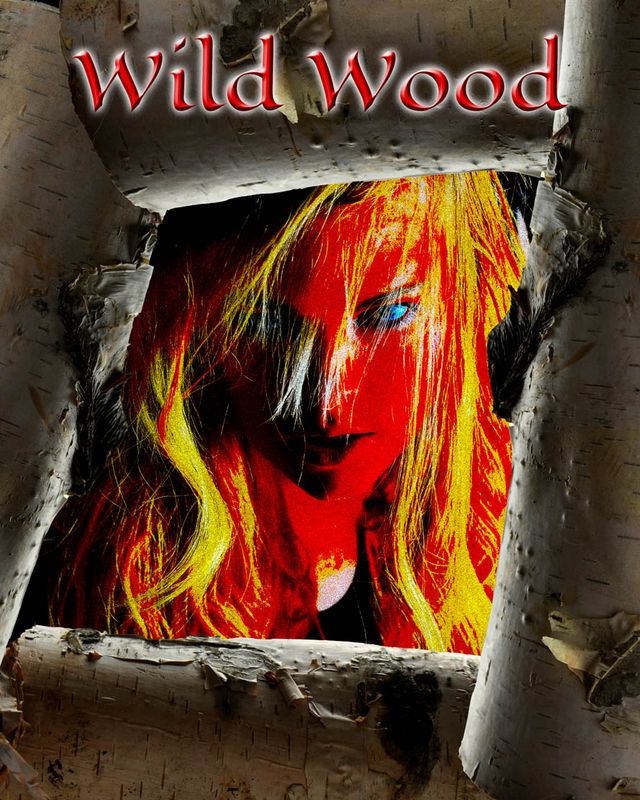 Wild Wood Video + POSTAL delivery and media.