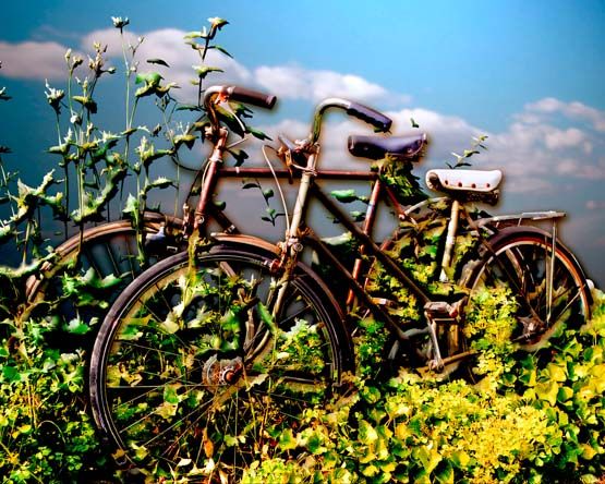 Forgotten Bikes on Blue