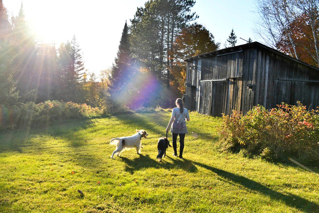 To the Barn