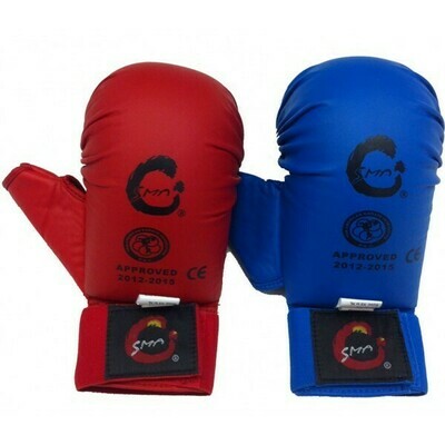 Sparring Gloves