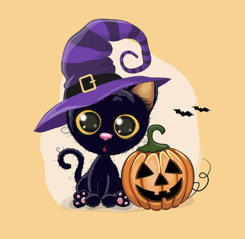 French Terry Panel - Katze Kürbis Halloween Fledermaus