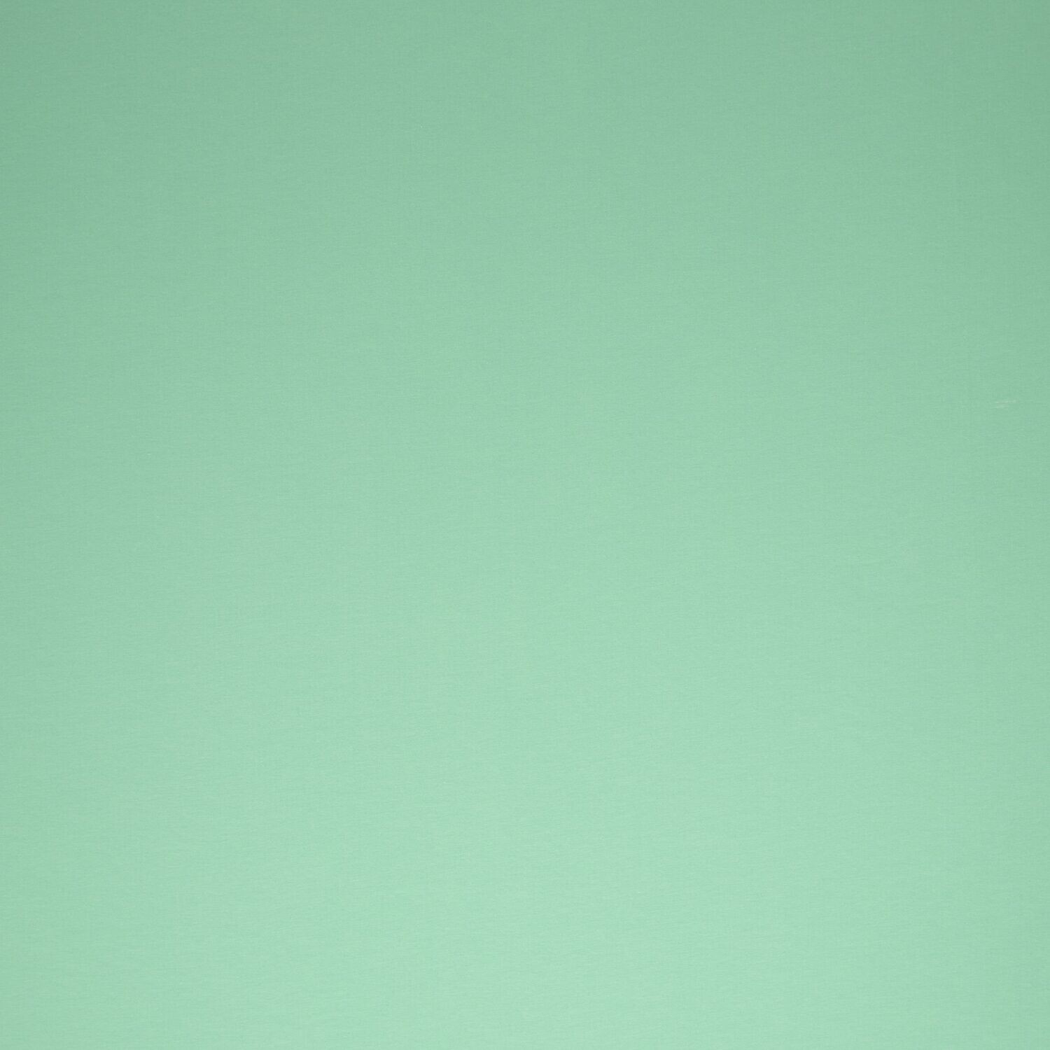 Jersey - mint
