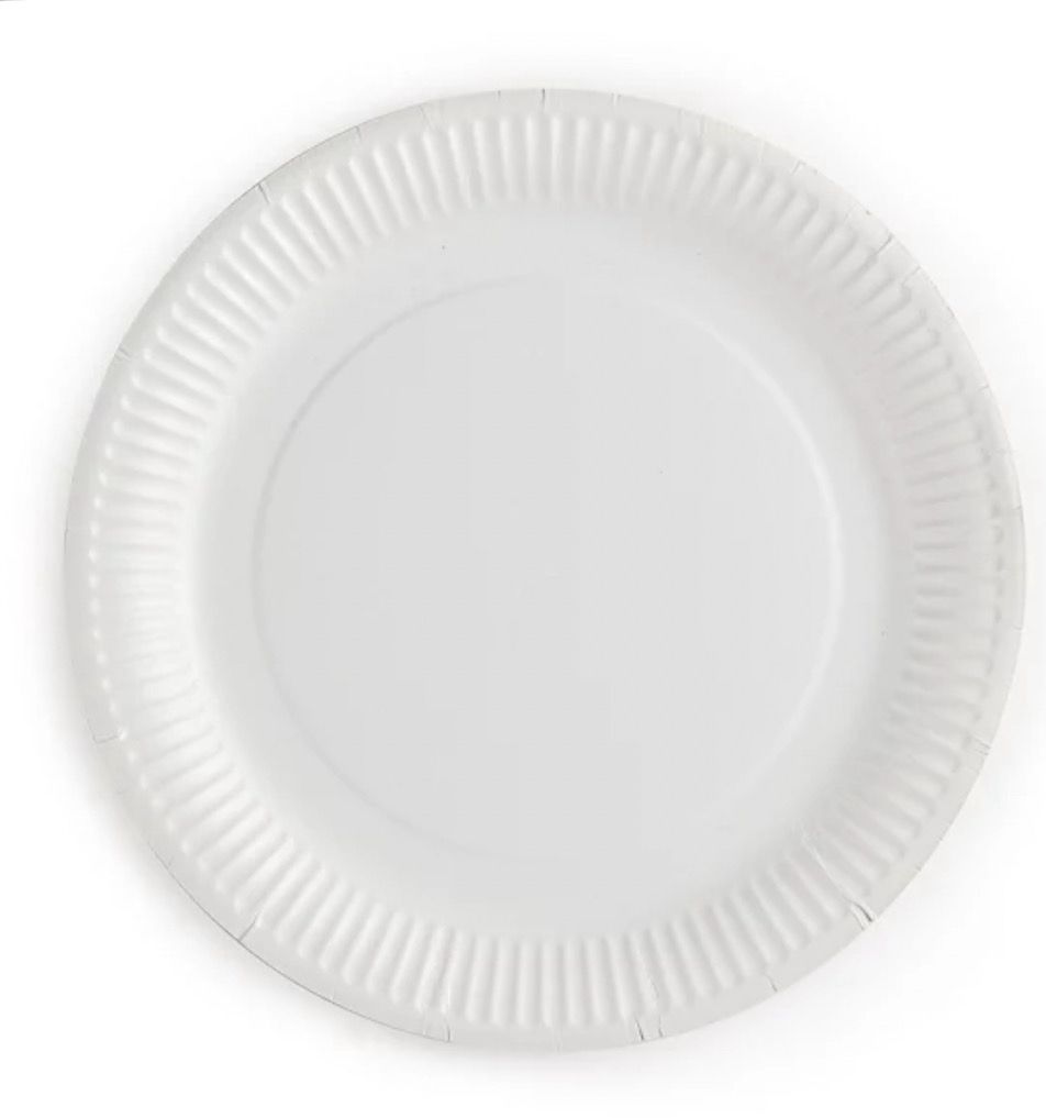 Assiette en carton 23cm x100pcs
