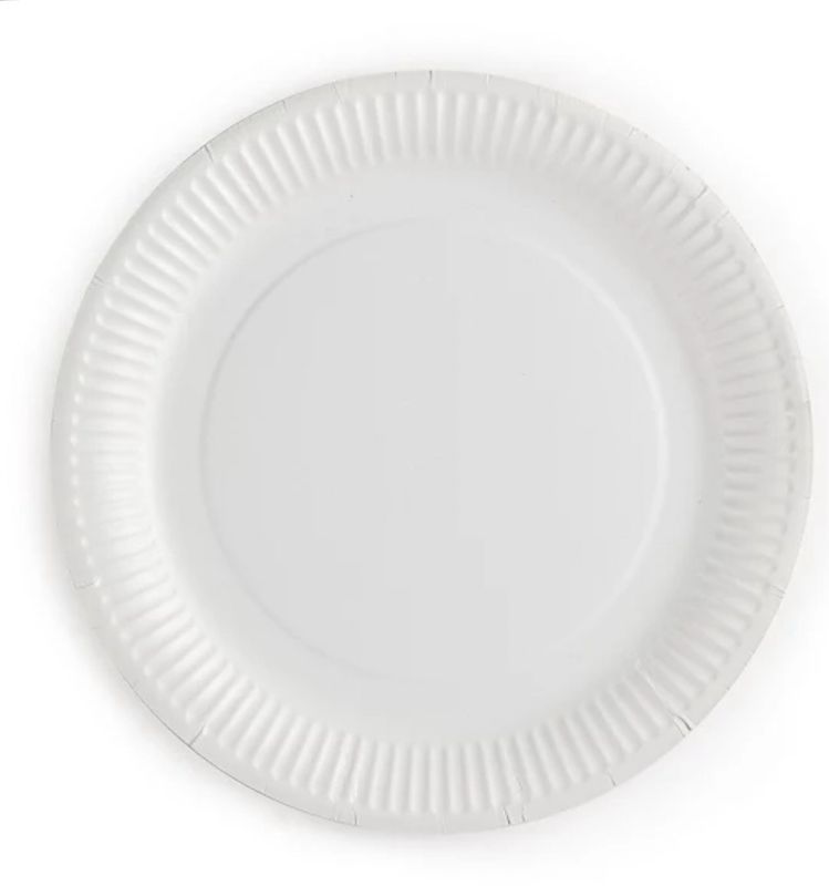 Assiette en carton 23cm x100pcs