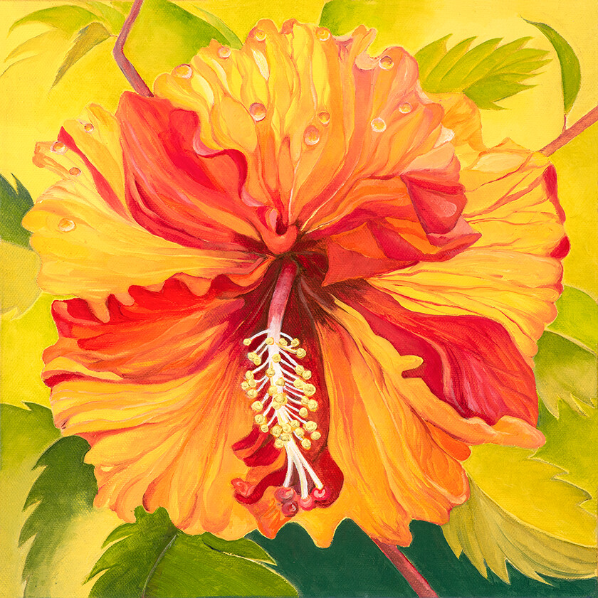 Hibiscus Drenched in Sun, Giclée