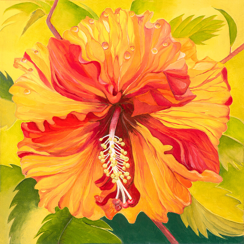 Hibiscus Drenched in Sun, Giclée