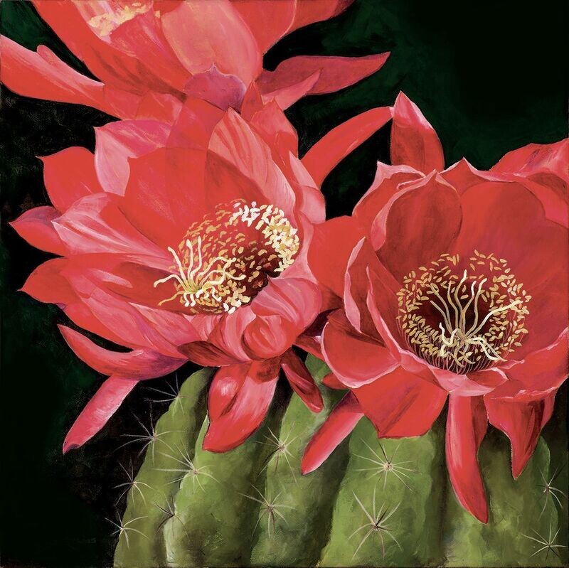 Barrel Cactus Bloom Oil Painting