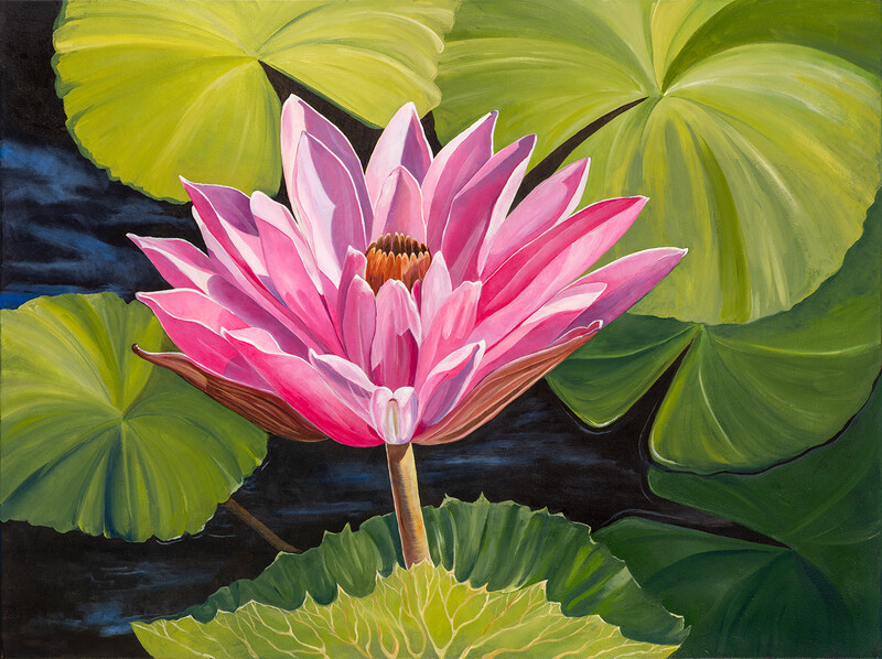 Pink Lily in the Sun Oil Painting