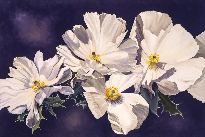Violet Mojave Prickly Poppy Oil Painting