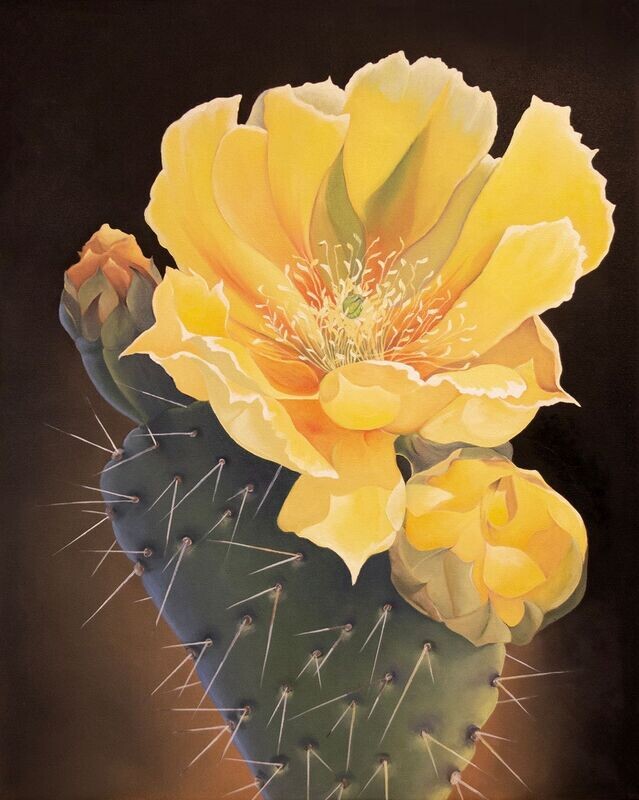 Desert Beauty, Giclée