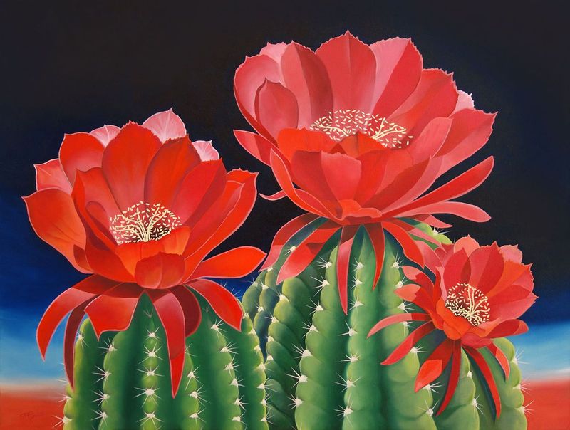 American Sunrise Oil Painting