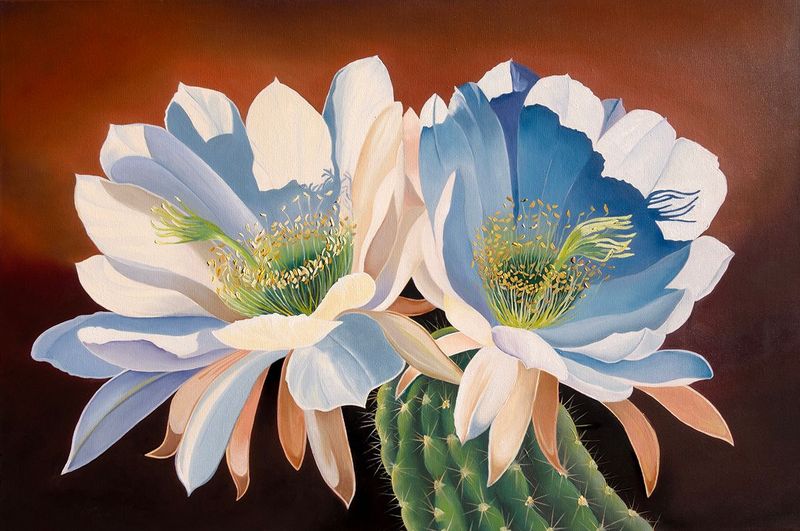 Sunny Side Up Oil Painting