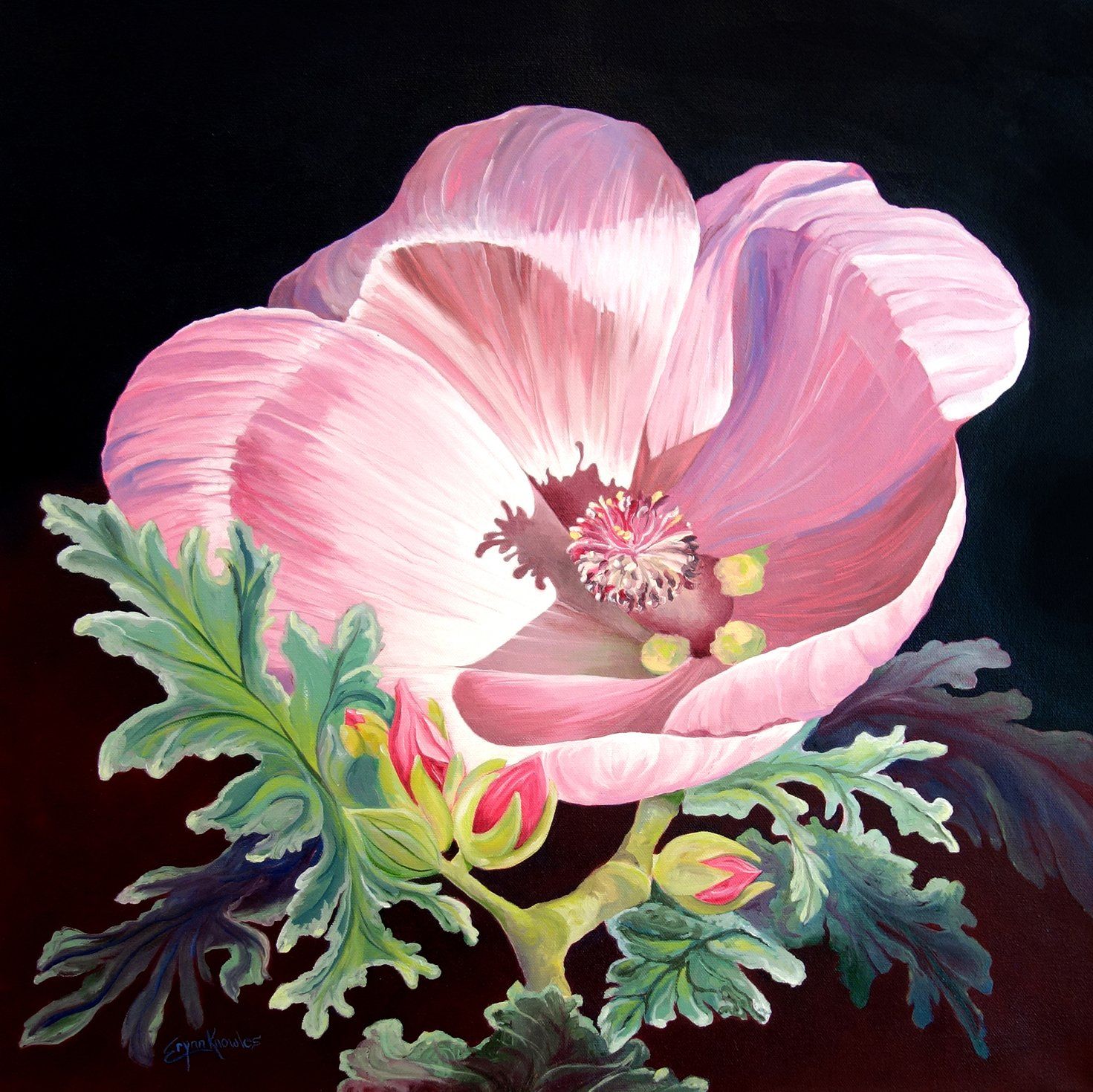 Desert Globe Mallow Oil Painting