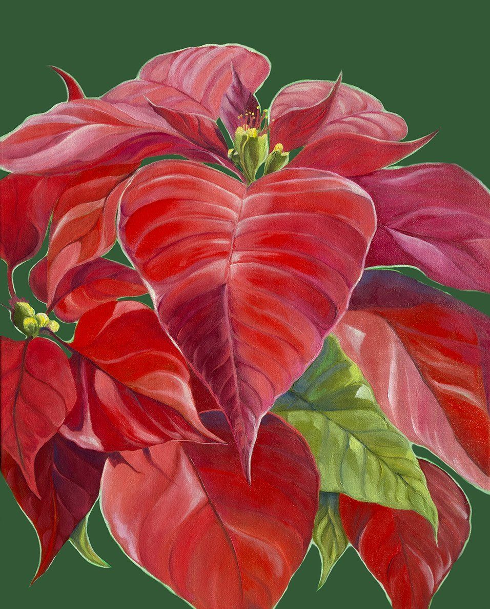 Poinsettia Oil Painting