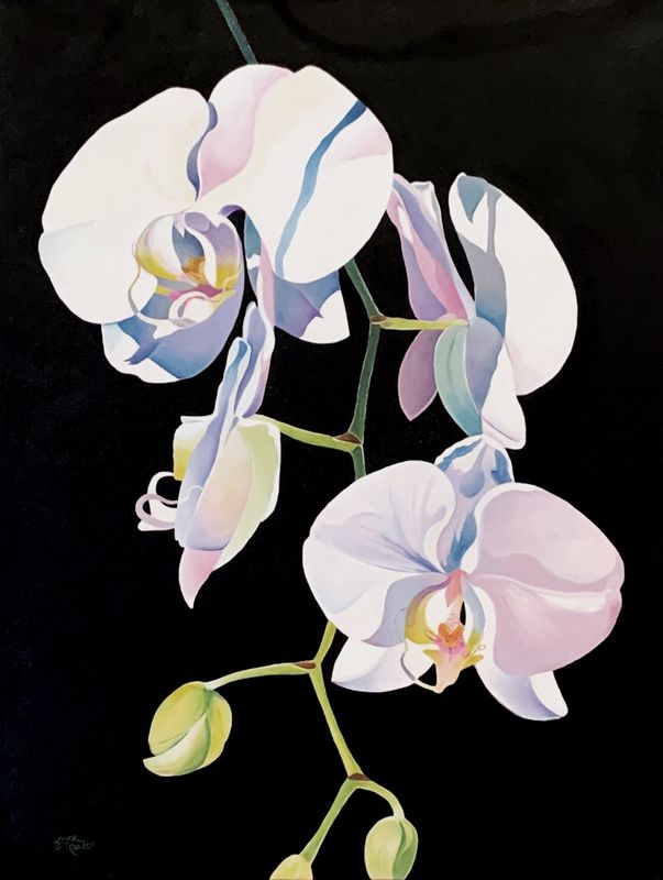Orchids Oil Painting