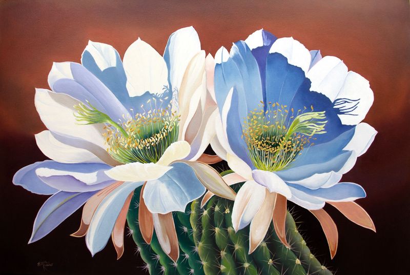 Sunny Side Up Oil Painting