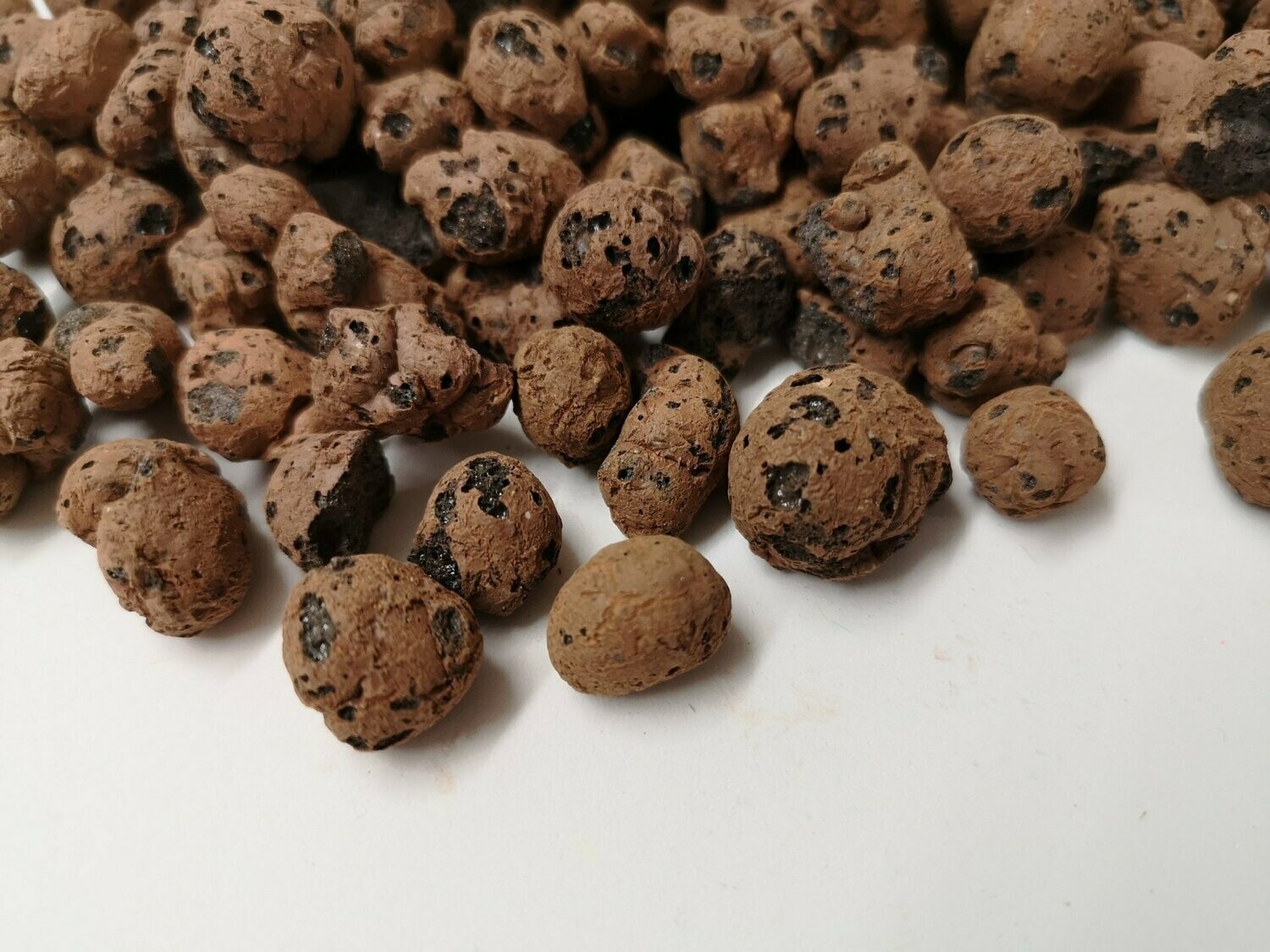 Mars Rock