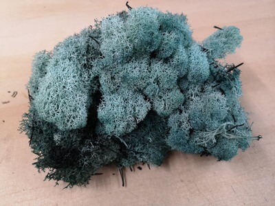 Lichen Moss - Turquoise