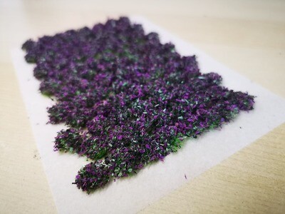 Purple Heather - Bushy Leaf Tufts