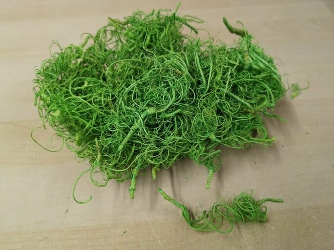 Creeping Vines - Jungle Green