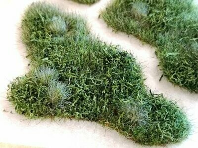 Vegetation Patches & Strips