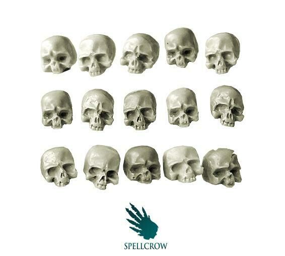 Human Skulls