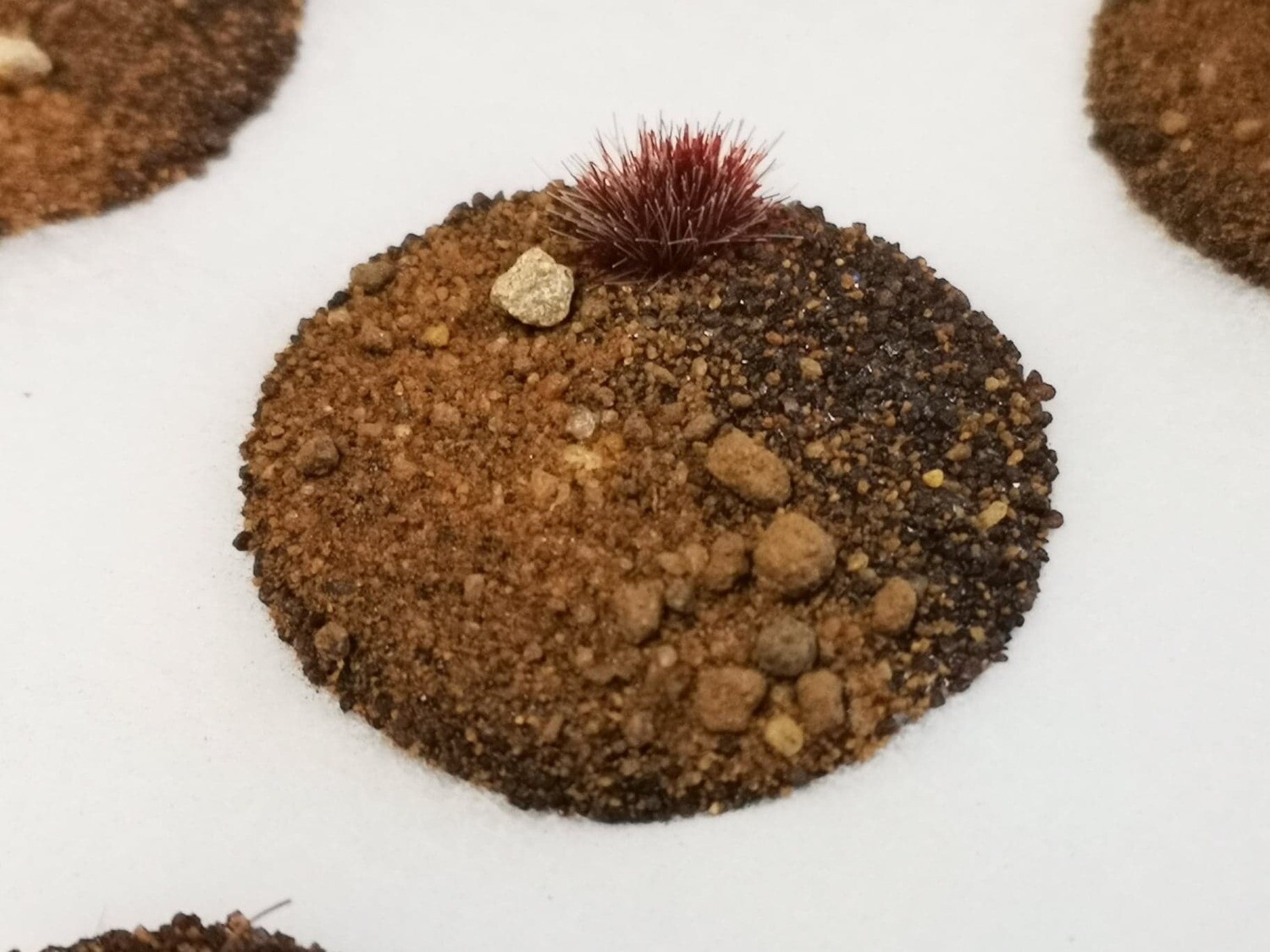 Arid Plains - Base Terrain Toppers