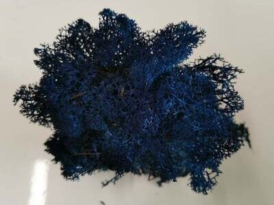 Lichen Moss - Electric Blue