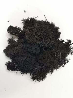 Lichen Moss - Black