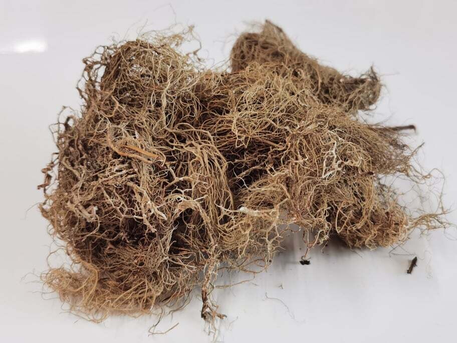 Preserved Foliage - Vine Moss, Quantity: Small Bag