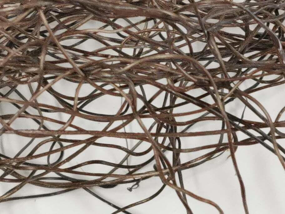 Artificial Roots / Vines - Brown, Quantity: 5g