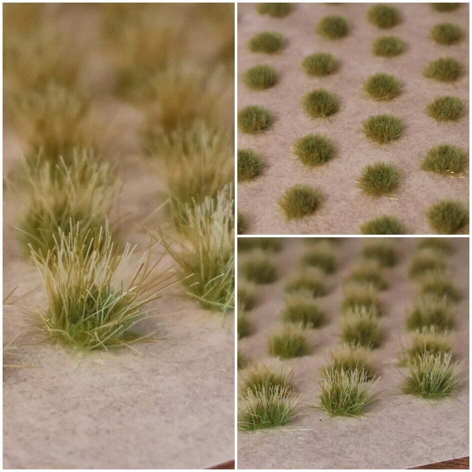 Scrubland
