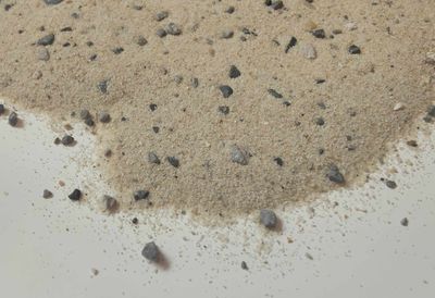 Beach - Instant Base Scatter
