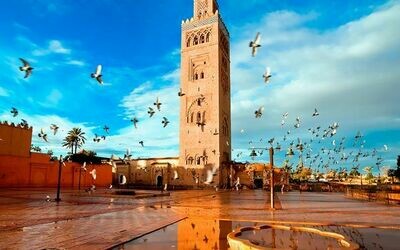 ​14 Days Imperial cities North via sahara Desert and Marrakech