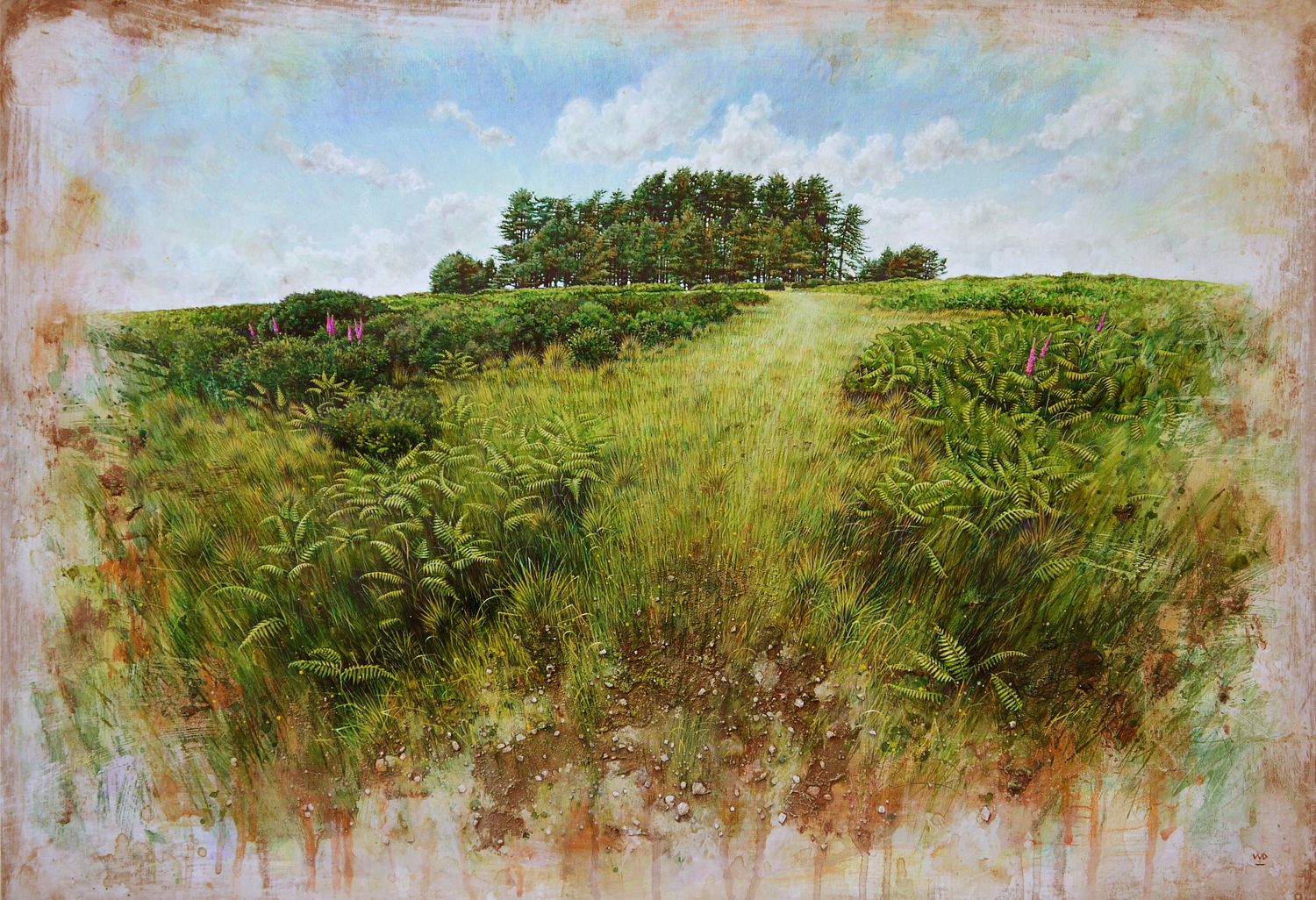 PRINT - Foxgloves at May Hill