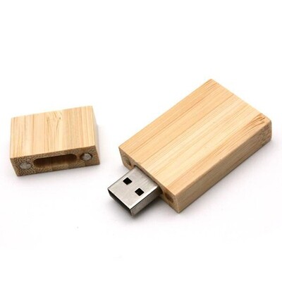 FLASH DRIVES