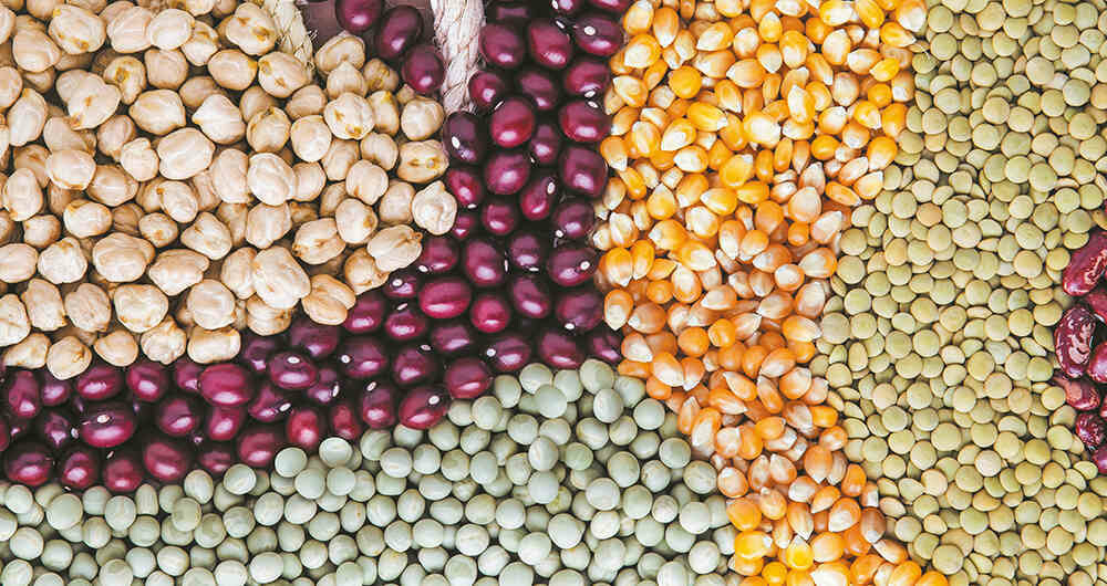 Frutos secos y granos básicos