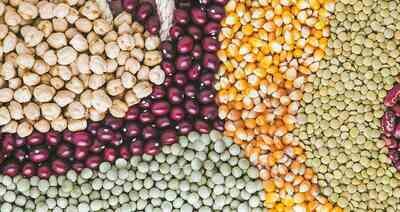 Frutos secos y granos básicos