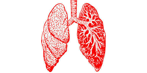 ENFISEMA, Restauración Pulmonar 3fcos.