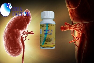 Renales y prostaticos