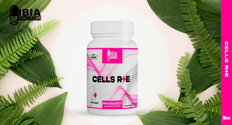 Cells R+E 3 fcos precursor de células madre