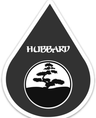 Hubbard Glass